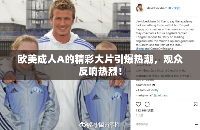 欧美成人A的精彩大片引爆热潮，观众反响热烈！