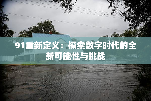 91重新定义：探索数字时代的全新可能性与挑战