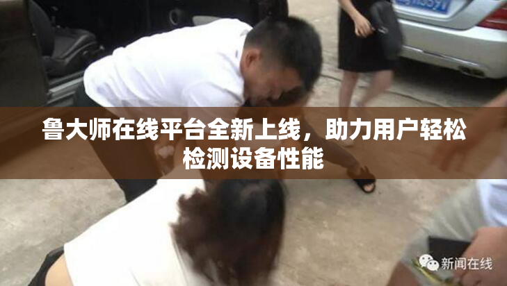 鲁大师在线平台全新上线，助力用户轻松检测设备性能