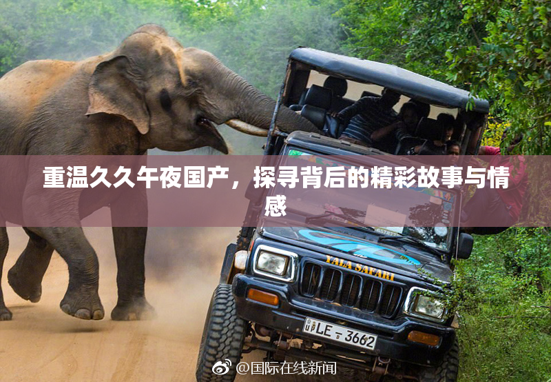 重温久久午夜国产，探寻背后的精彩故事与情感