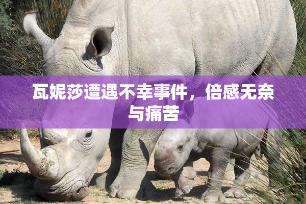瓦妮莎遭遇不幸事件，倍感无奈与痛苦