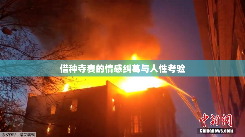 借种夺妻的情感纠葛与人性考验