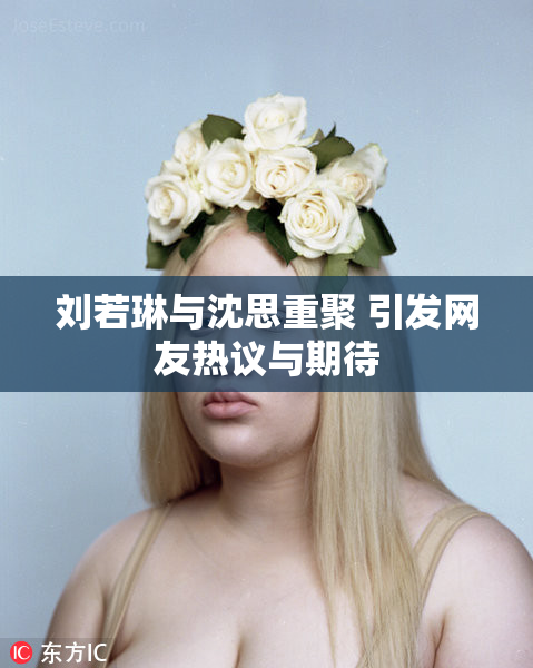 刘若琳与沈思重聚 引发网友热议与期待