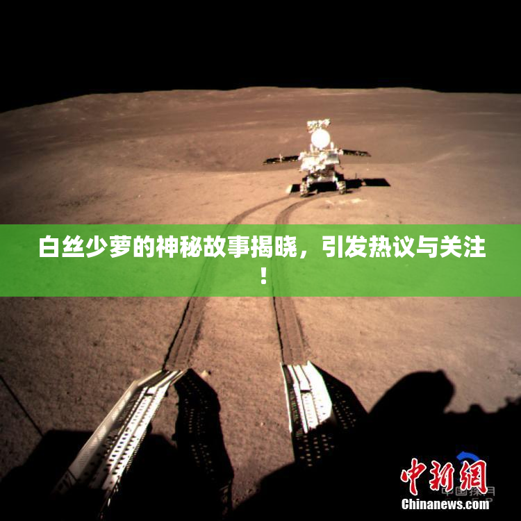 白丝少萝的神秘故事揭晓，引发热议与关注！