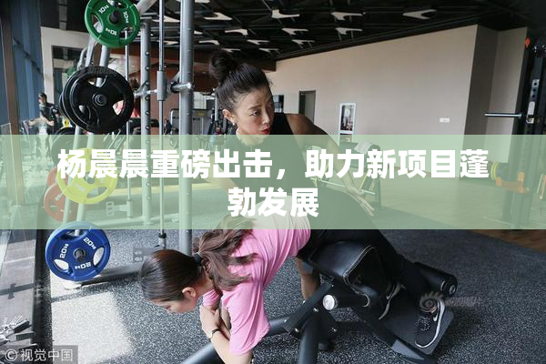 杨晨晨重磅出击，助力新项目蓬勃发展