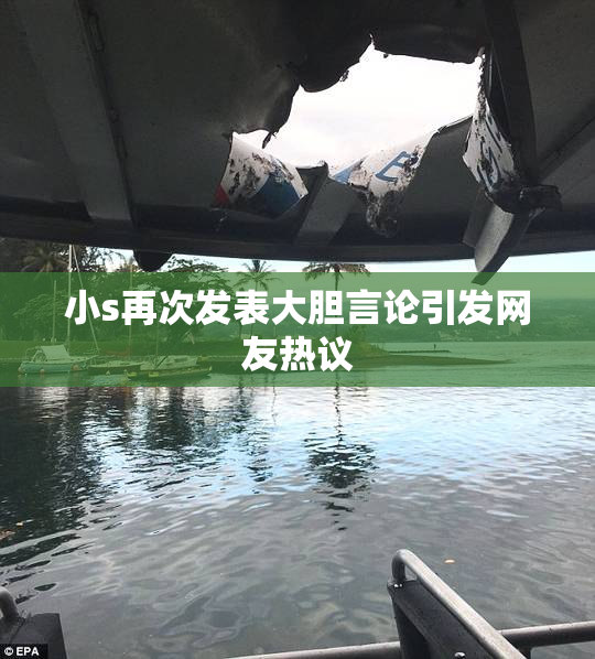 小s再次发表大胆言论引发网友热议