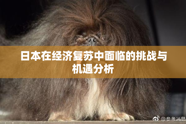 日本在经济复苏中面临的挑战与机遇分析