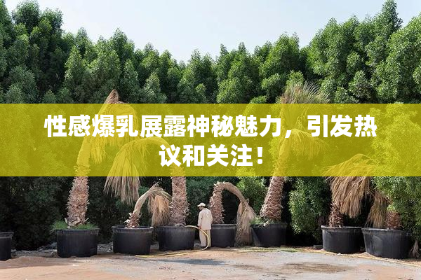 性感爆乳展露神秘魅力，引发热议和关注！