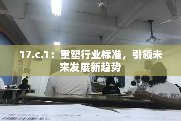 17.c.1：重塑行业标准，引领未来发展新趋势