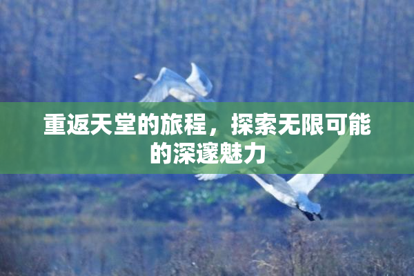 重返天堂的旅程，探索无限可能的深邃魅力