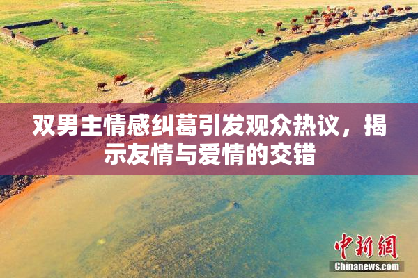 双男主情感纠葛引发观众热议，揭示友情与爱情的交错