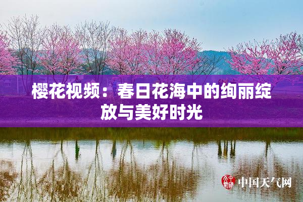 樱花视频：春日花海中的绚丽绽放与美好时光