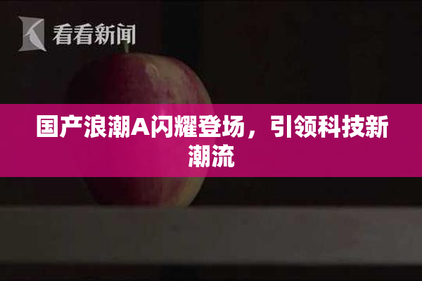 国产浪潮A闪耀登场，引领科技新潮流