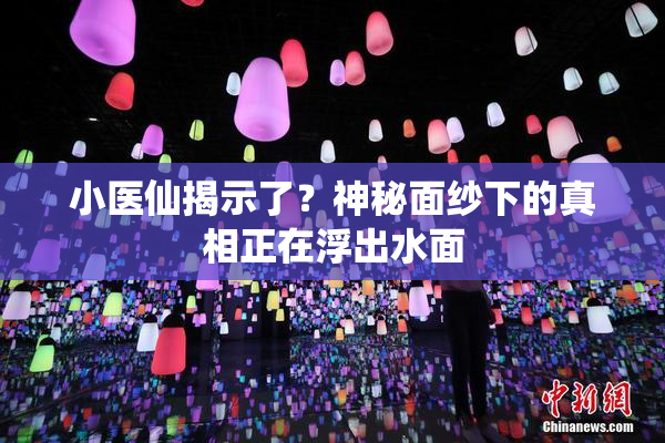 小医仙揭示了？神秘面纱下的真相正在浮出水面