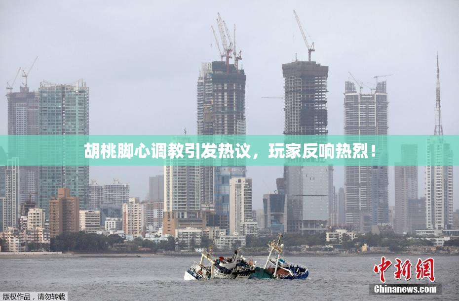 胡桃脚心调教引发热议，玩家反响热烈！