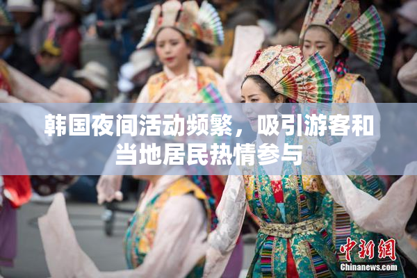 韩国夜间活动频繁，吸引游客和当地居民热情参与