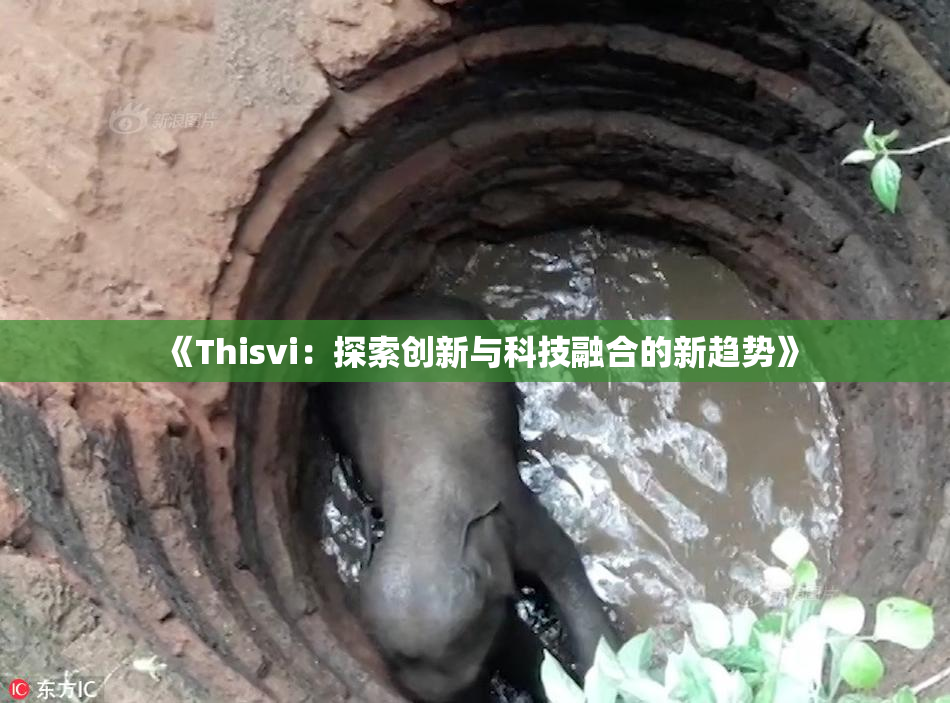 《Thisvi：探索创新与科技融合的新趋势》