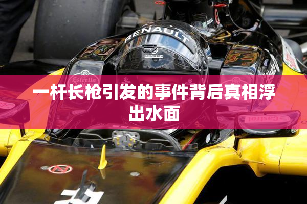 一杆长枪引发的事件背后真相浮出水面