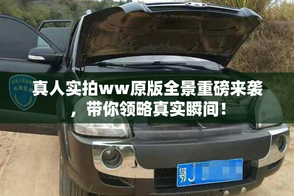 真人实拍ww原版全景重磅来袭，带你领略真实瞬间！