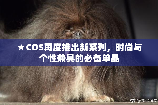 ★COS再度推出新系列，时尚与个性兼具的必备单品