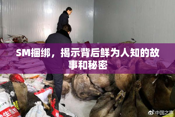 SM捆绑，揭示背后鲜为人知的故事和秘密