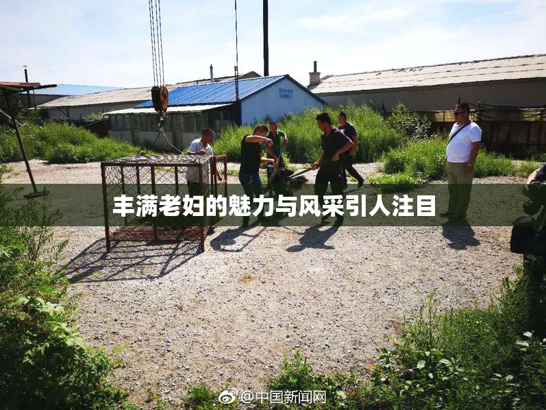 丰满老妇的魅力与风采引人注目