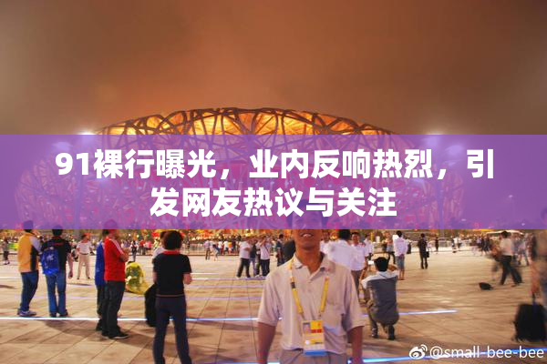 91裸行曝光，业内反响热烈，引发网友热议与关注