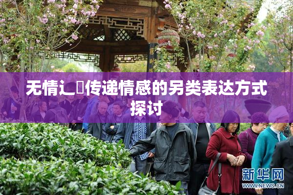 无情辶喿传递情感的另类表达方式探讨