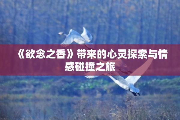 《欲念之香》带来的心灵探索与情感碰撞之旅