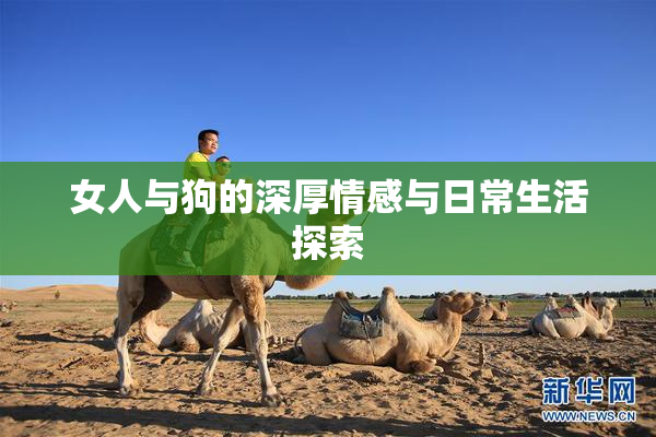 女人与狗的深厚情感与日常生活探索