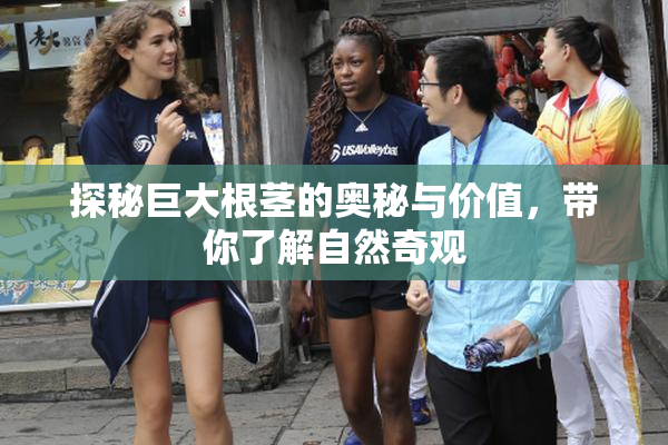 探秘巨大根茎的奥秘与价值，带你了解自然奇观