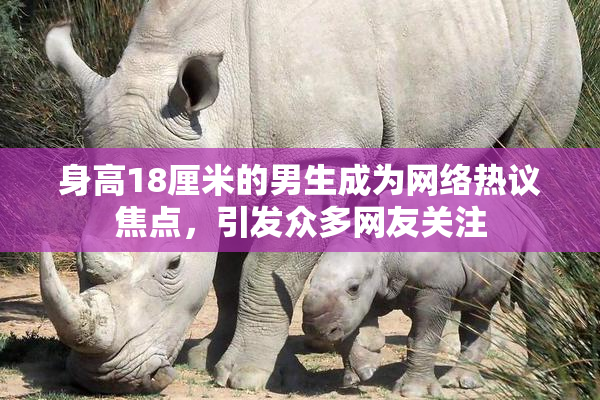 身高18厘米的男生成为网络热议焦点，引发众多网友关注