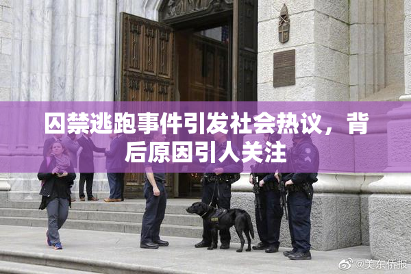 囚禁逃跑事件引发社会热议，背后原因引人关注