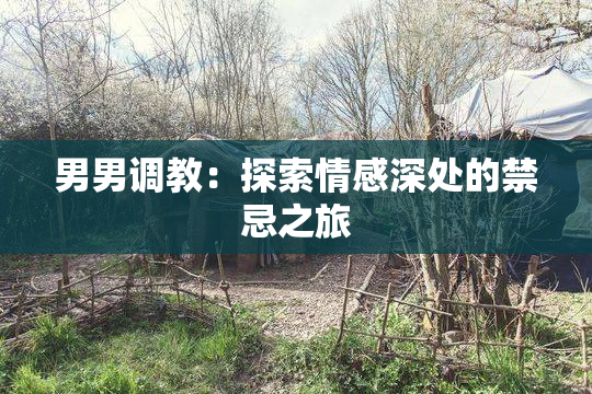 男男调教：探索情感深处的禁忌之旅