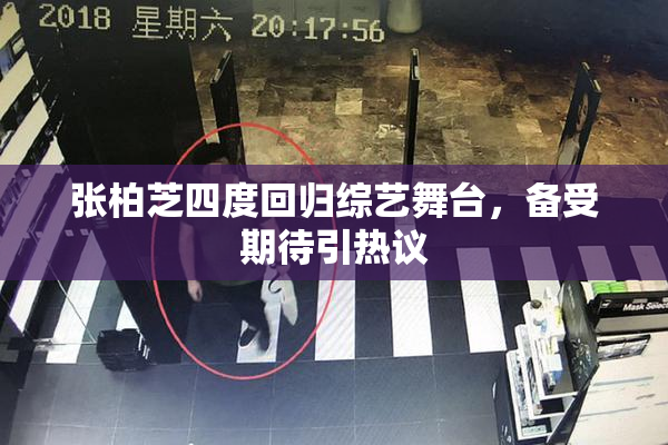 张柏芝四度回归综艺舞台，备受期待引热议