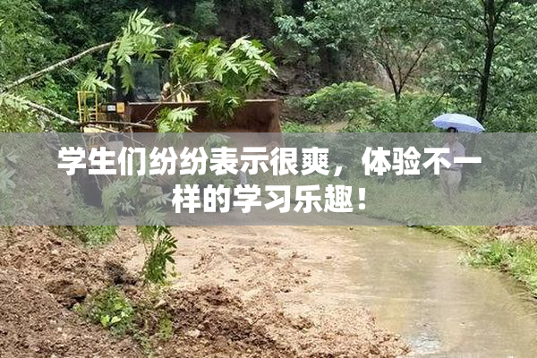 学生们纷纷表示很爽，体验不一样的学习乐趣！