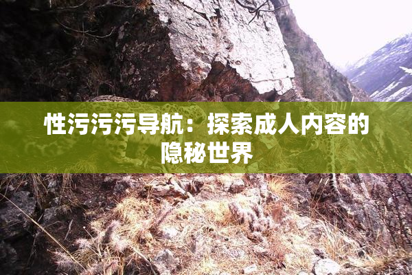 性污污污导航：探索成人内容的隐秘世界