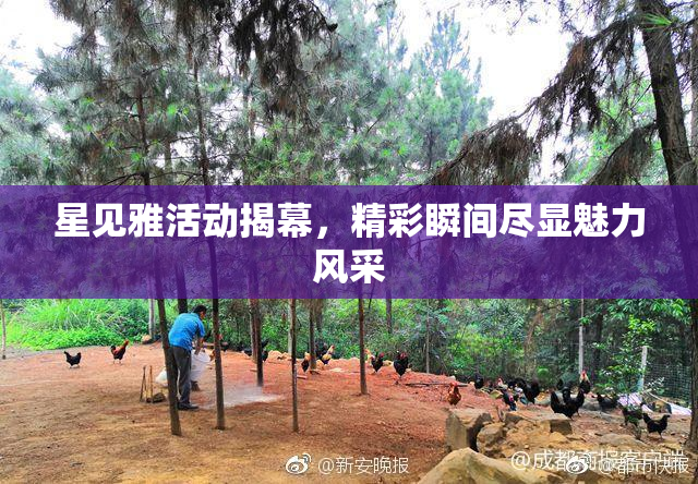 星见雅活动揭幕，精彩瞬间尽显魅力风采