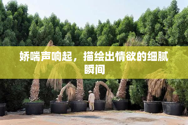 娇喘声响起，描绘出情欲的细腻瞬间
