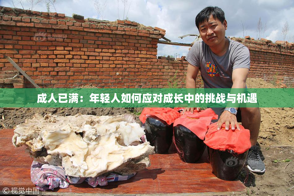 成人已满：年轻人如何应对成长中的挑战与机遇