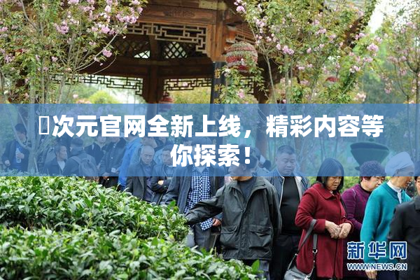 囧次元官网全新上线，精彩内容等你探索！