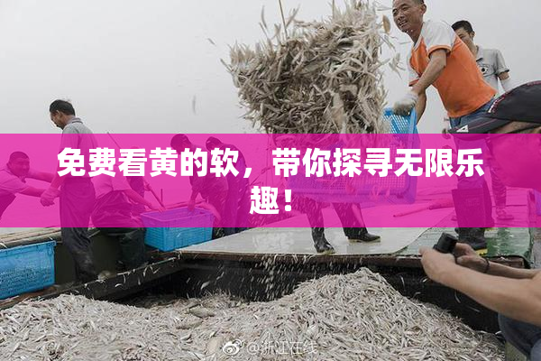 免费看黄的软，带你探寻无限乐趣！
