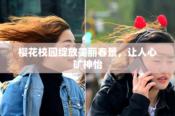 樱花校园绽放美丽春景，让人心旷神怡