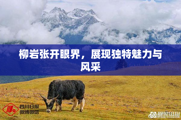 柳岩张开眼界，展现独特魅力与风采