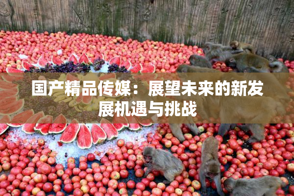 国产精品传媒：展望未来的新发展机遇与挑战