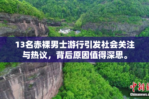 13名赤裸男士游行引发社会关注与热议，背后原因值得深思。