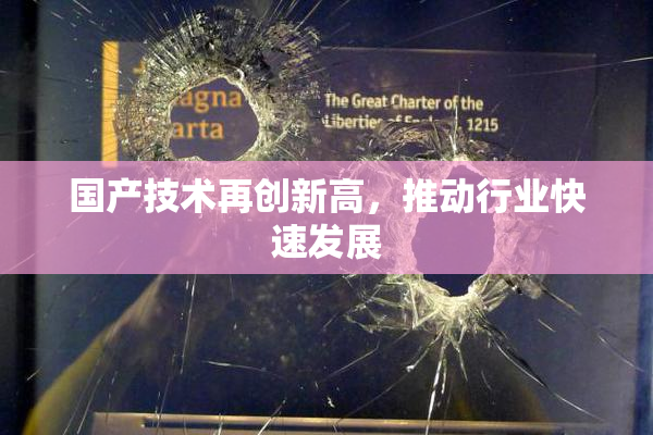 国产技术再创新高，推动行业快速发展
