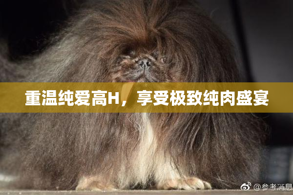 重温纯爱高H，享受极致纯肉盛宴