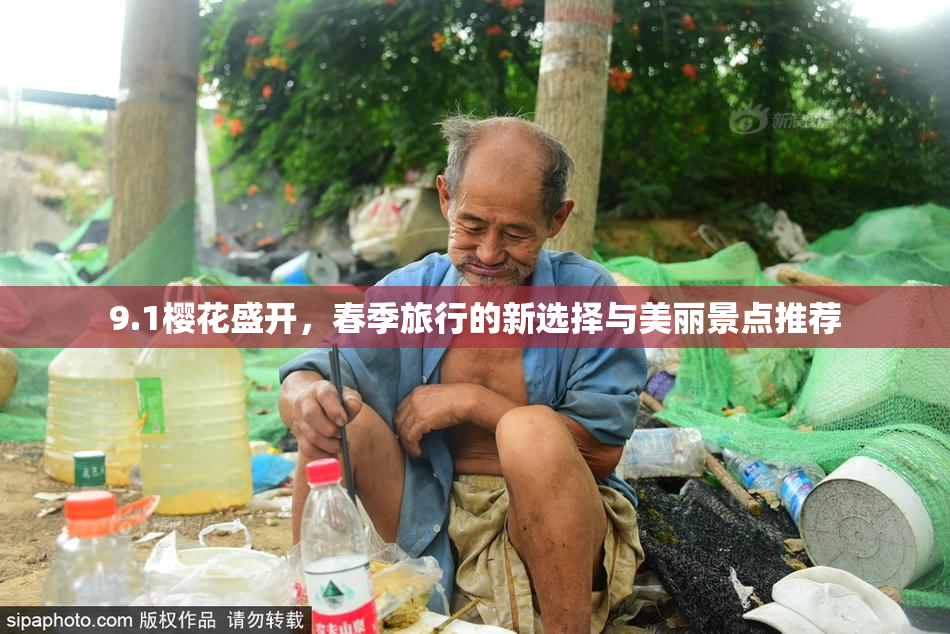 9.1樱花盛开，春季旅行的新选择与美丽景点推荐