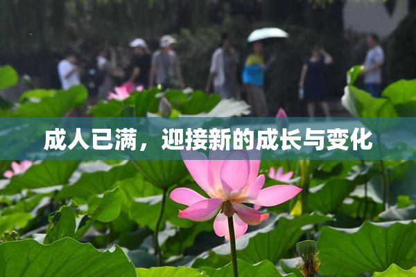 成人已满，迎接新的成长与变化